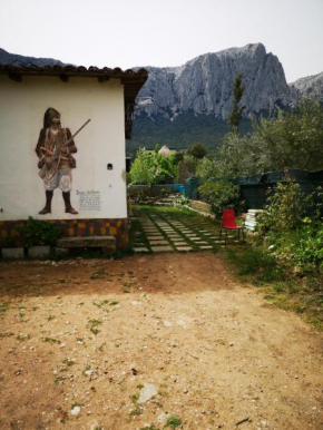 Pinnettu sardo casa di campagna in ecosistema insetti e animaletti simpatici in condivisione, stanza matrimoniale senza finestra, Leggere attentamente Prima di prenotare